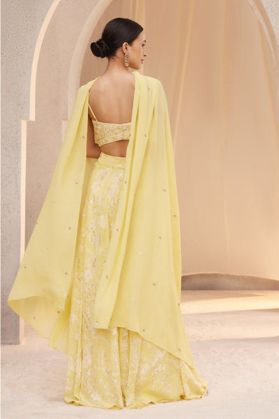 Anita Dongre Alayna Skirt Set Yellow indian designer wear online shopping melange singapore