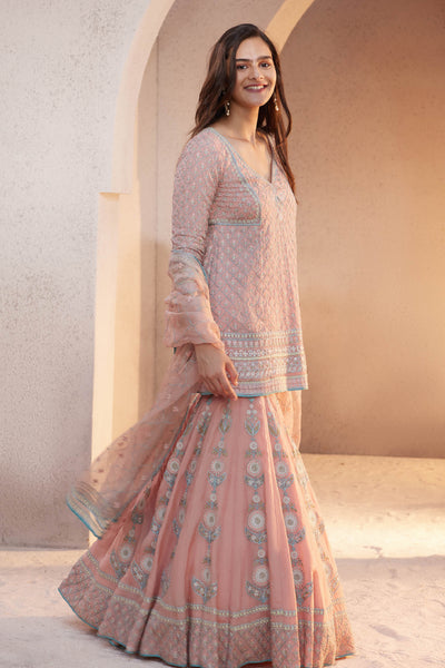 Anita Dongre Ashreen Suit Set Blush Indian designer wear online shopping melange singapore