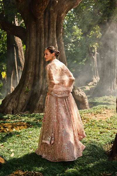 Anita Dongre Forest Rose Embroidered Silk Lehenga Set Blush indian designer wear online shopping melange singapore