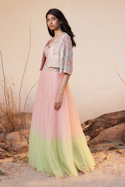 Anita Dongre Naila Skirt Set Blush indian designer wear online shopping melange singapore