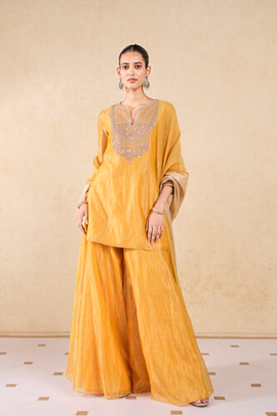 Anita Dongre Umbra Embroidered Sharara Set Yellow indian designer wear online shopping melange singapore