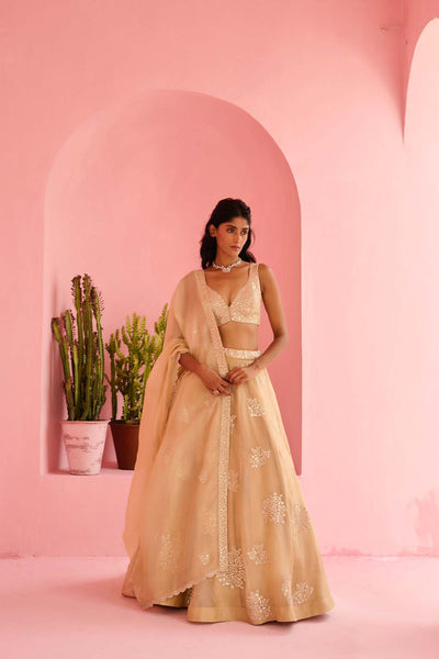 Chamee and Palak Adah Lehenga Set indian designer wear online shopping melange singapore 