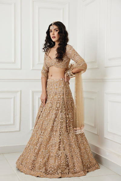 Chamee and Palak Adeeba Lehenga indian designer wear online shopping melange singapore