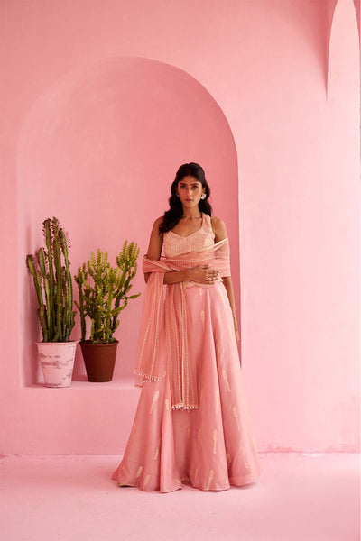 Chamee and Palak Amal Lehenga Set indian designer wear online shopping melange singapore 
