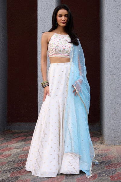 Chamee and Palak Anaisa Jamewar Gusset Skirt indian designer wear online shopping melange singapore