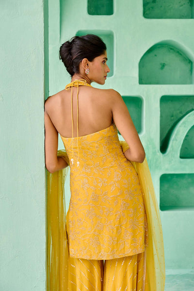 Chamee and Palak Fiza Sharara Set indian designer wear online shopping melange singapore 