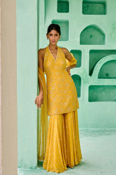 Chamee and Palak Fiza Sharara Set indian designer wear online shopping melange singapore 