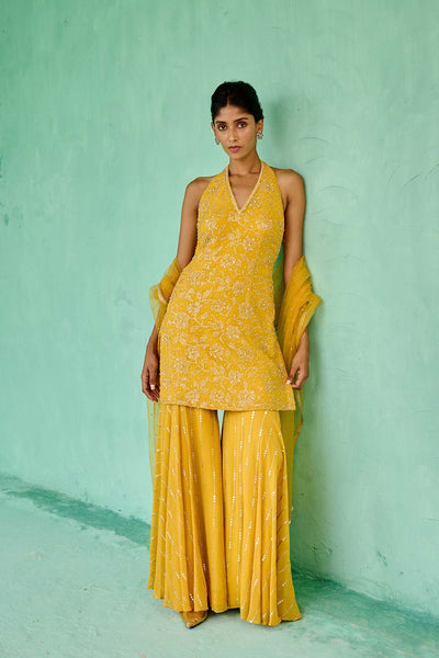 Chamee and Palak Fiza Sharara Set indian designer wear online shopping melange singapore 