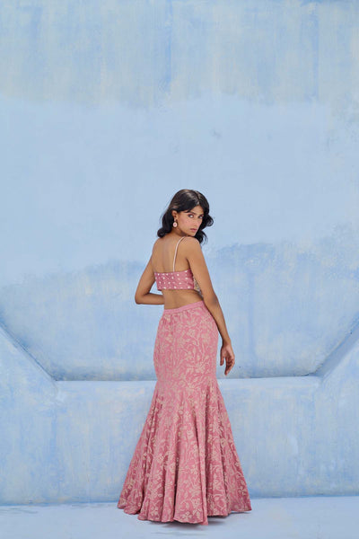 Chamee and Palak Fiza Skirt Set indian designer wear online shopping melange singapore 