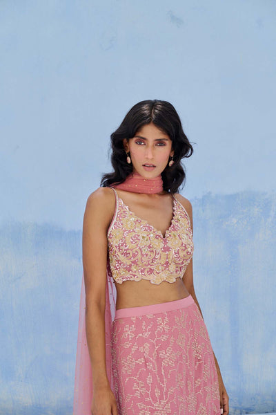 Chamee and Palak Fiza Skirt Set indian designer wear online shopping melange singapore 