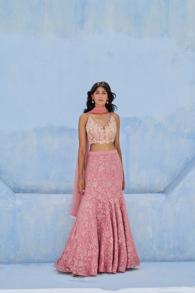 Chamee and Palak Fiza Skirt Set indian designer wear online shopping melange singapore 