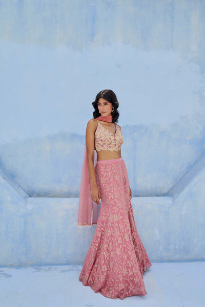Chamee and Palak Fiza Skirt Set indian designer wear online shopping melange singapore 