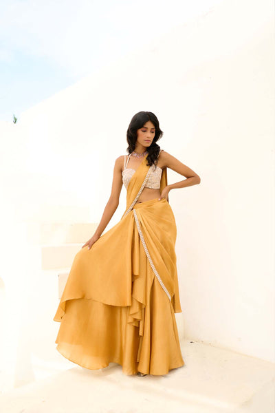 Chamee and Palak Manya Pre- drape Saree indian designer wear online shopping melange singapore 