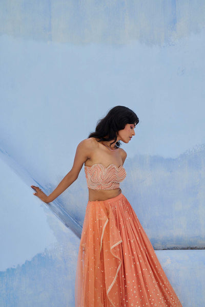 Chamee and Palak Melisa Lehenga  Set indian designer wear online shopping melange singapore 