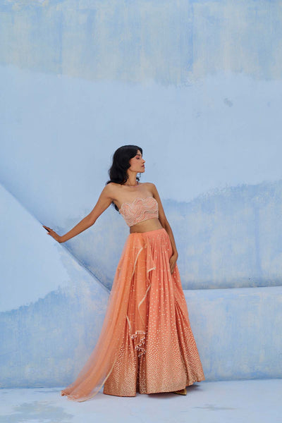 Chamee and Palak Melisa Lehenga  Set indian designer wear online shopping melange singapore 
