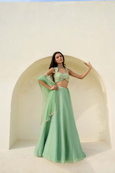 Chamee and Palak Mina Skirt Set indian designer wear online shopping melange singapore 