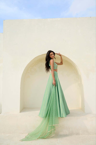 Chamee and Palak Mina Skirt Set indian designer wear online shopping melange singapore 