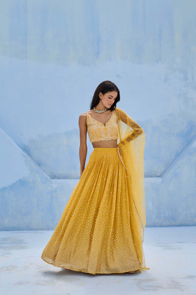 Chamee and Palak Zohra Lehenga Set indian designer wear online shopping melange singapore 