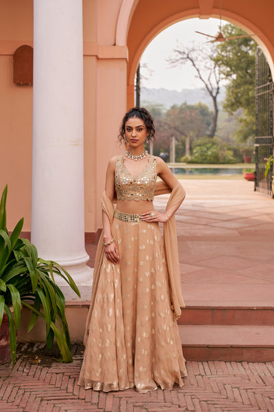 Chhavvi Aggarwal Beige Banarasi Lehenga Set indian designer wear online shopping melange singapore