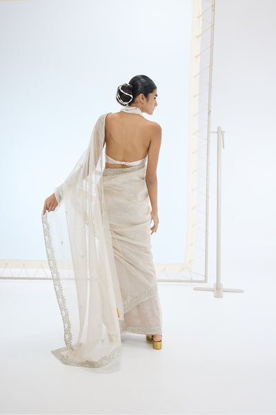 Ekaya The Eva Saree in Champagne indian designer wear online shopping melange singapore 