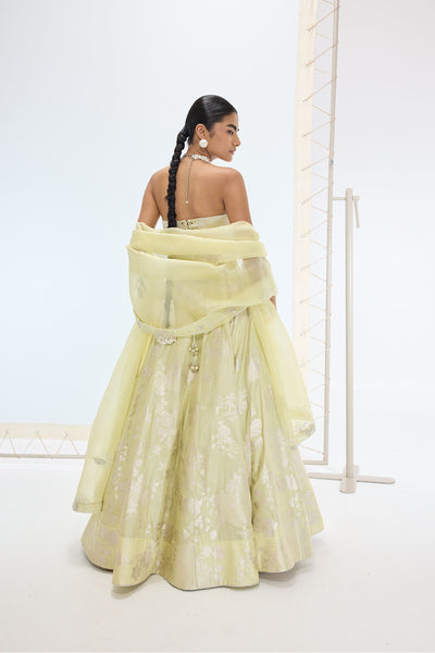 Ekaya The Sylvie Lehenga Set in Pistachio indian designer wear online shopping melange singapore 