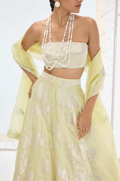 Ekaya The Sylvie Lehenga Set in Pistachio indian designer wear online shopping melange singapore 