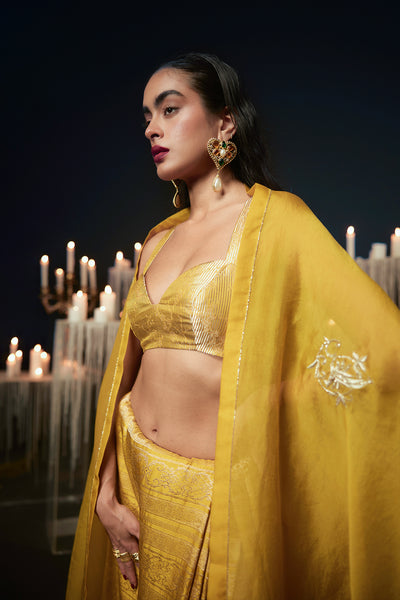 Ekaya The I do Saree in Mustard indian designer wear online shopping melange singapore 