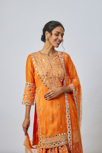 Gopi Vaid Aadhira Sharara Set indian designer wear online shopping melange singapore
