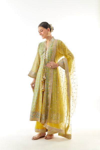 Gopi Vaid Harshika AG Set indian designer wear online shopping melange singapore