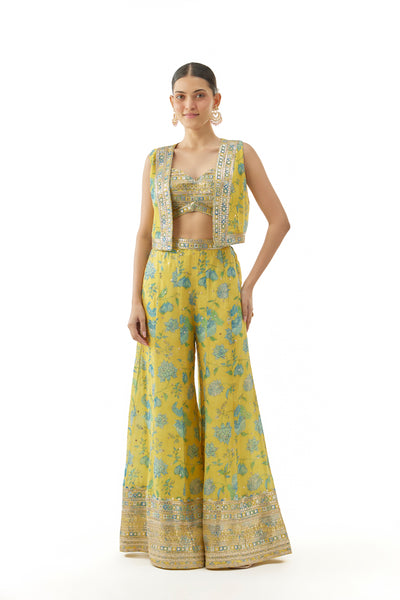 Gopi Vaid Tanisha Pant Set indian designer wear online shopping melange singapore 