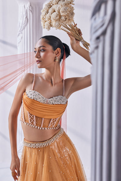 Mandira Wirk Ombre Lehenga Set indian designer wear online shopping melange singapore