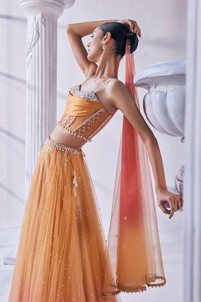 Mandira Wirk Ombre Lehenga Set indian designer wear online shopping melange singapore