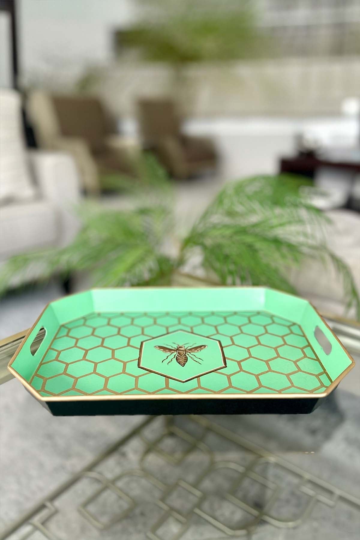Akira Tray