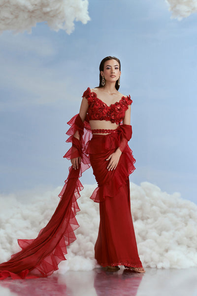 Nachiket Barve Astral Carnations Applique Sari Setindian designer wear online shopping melange singapore