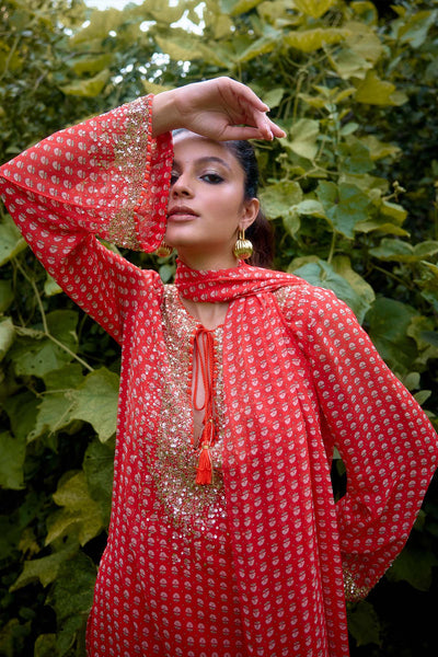 Nikasha Dilruba Cora Printed Kurta indian designer wear online shopping melange singapore 
