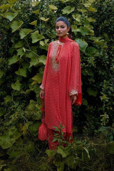 Nikasha Dilruba Cora Printed Kurta indian designer wear online shopping melange singapore 