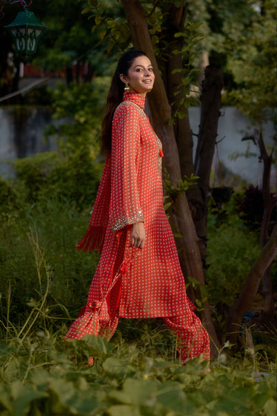 Nikasha Dilruba Cora Printed Kurta indian designer wear online shopping melange singapore 
