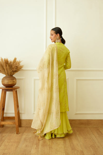 Nikasha Lime Green Foil Embroidered Sharara Set Indian designer wear online shopping melange singapore
