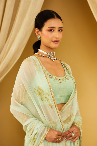 Nikasha Mint Foil Pure Silk Chiffon Saree Indian designer wear online shopping melange singapore
