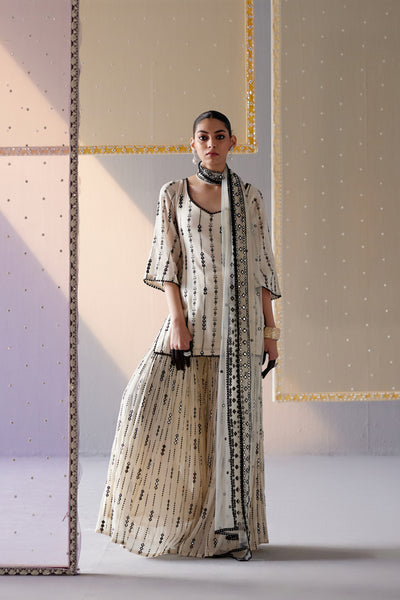 Preevin Black White 2d 3d Bail Straight Sharara With Dupatta indian designer wear online shopping melange singapore