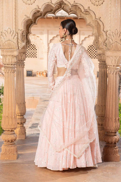 Preevin Blush Pink Sk Bk Lehenga With Embroidered Dupatta indian designer wear online shopping melange singapore