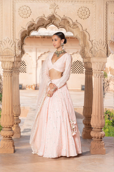 Preevin Blush Pink Sk Bk Lehenga With Embroidered Dupatta indian designer wear online shopping melange singapore