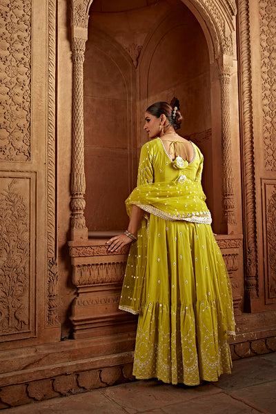 Preevin Neon Green Barfi Anarkali with Embroidered Dupatta indian designer wear online shopping melange singapore