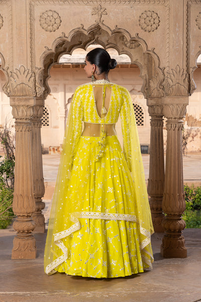 Preevin Neon Green Sk Bk Lehenga With Embroidered Dupatta indian designer wear online shopping melange singapore