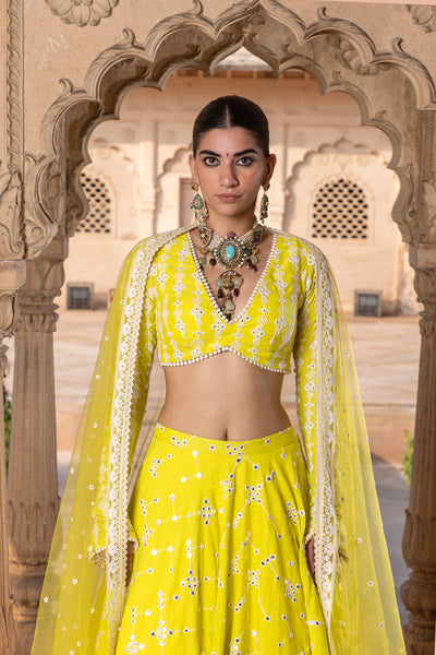 Preevin Neon Green Sk Bk Lehenga With Embroidered Dupatta indian designer wear online shopping melange singapore