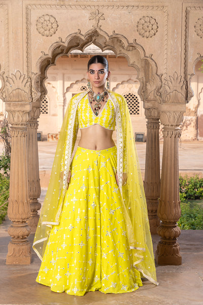 Preevin Neon Green Sk Bk Lehenga With Embroidered Dupatta indian designer wear online shopping melange singapore