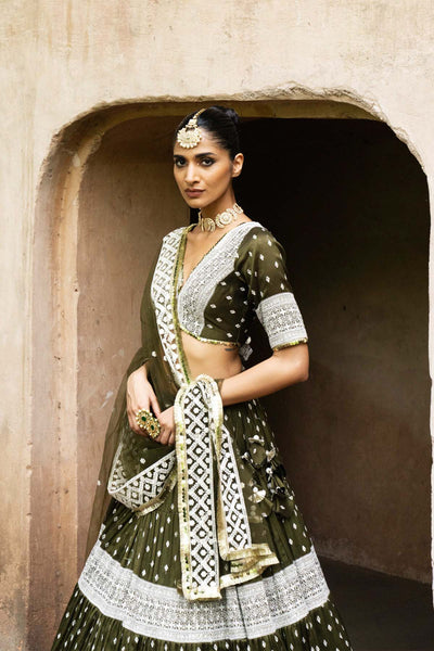 Preevin Olive Big Border Lehenga With Embroidered Dupatta indian designer wear online shopping melange singapore 