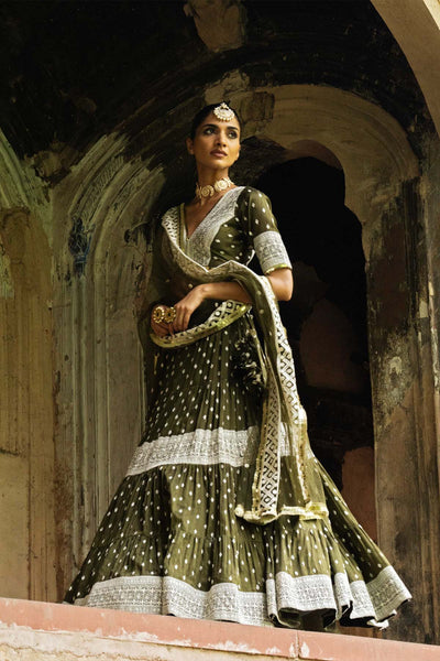 Preevin Olive Big Border Lehenga With Embroidered Dupatta indian designer wear online shopping melange singapore 