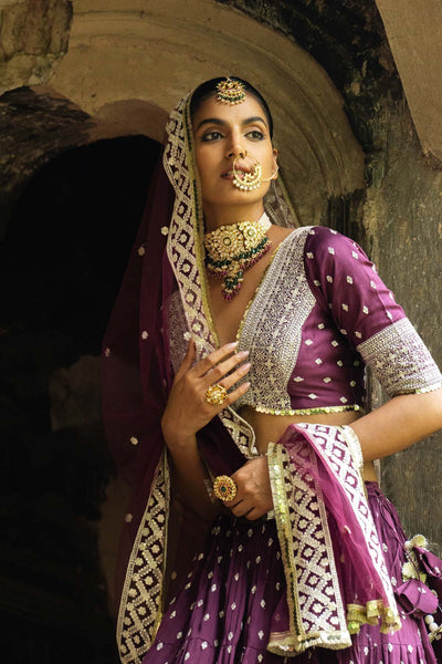 Preevin Wine Big Border Lehenga With Embroidered Dupatta indian designer wear online shopping melange singapore 