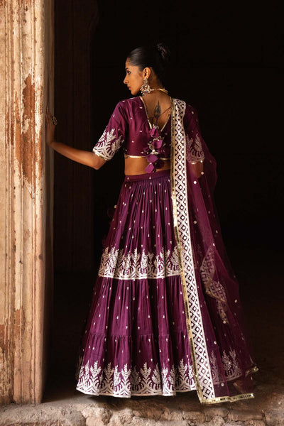 Preevin Wine Forest Lehenga With Embroidered Dupatta indian designer wear online shopping melange singapore 